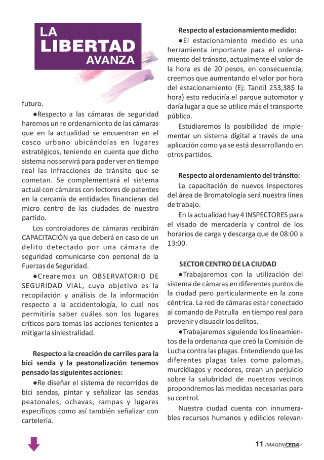 Página 12