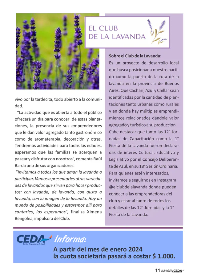 Página 12