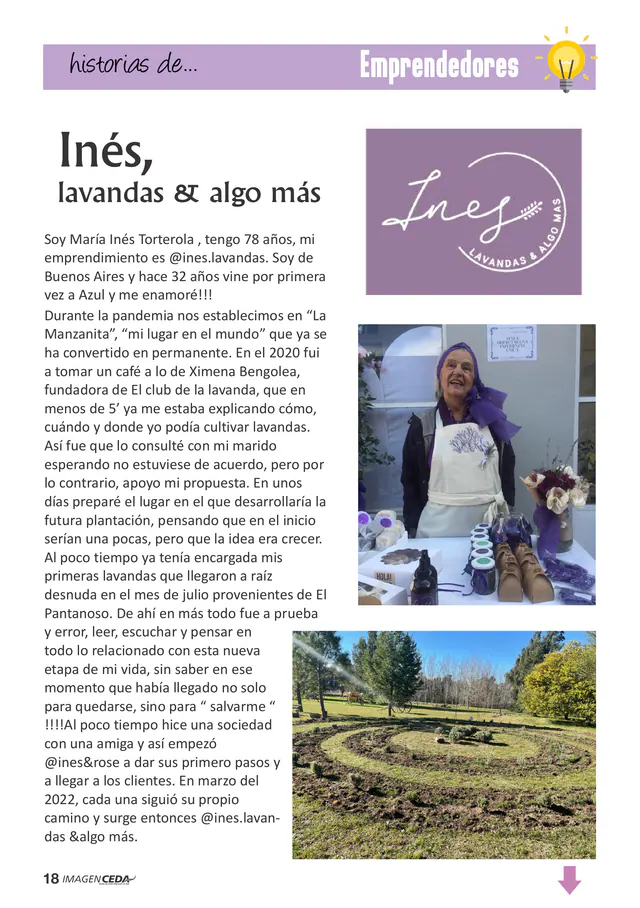 Página 19